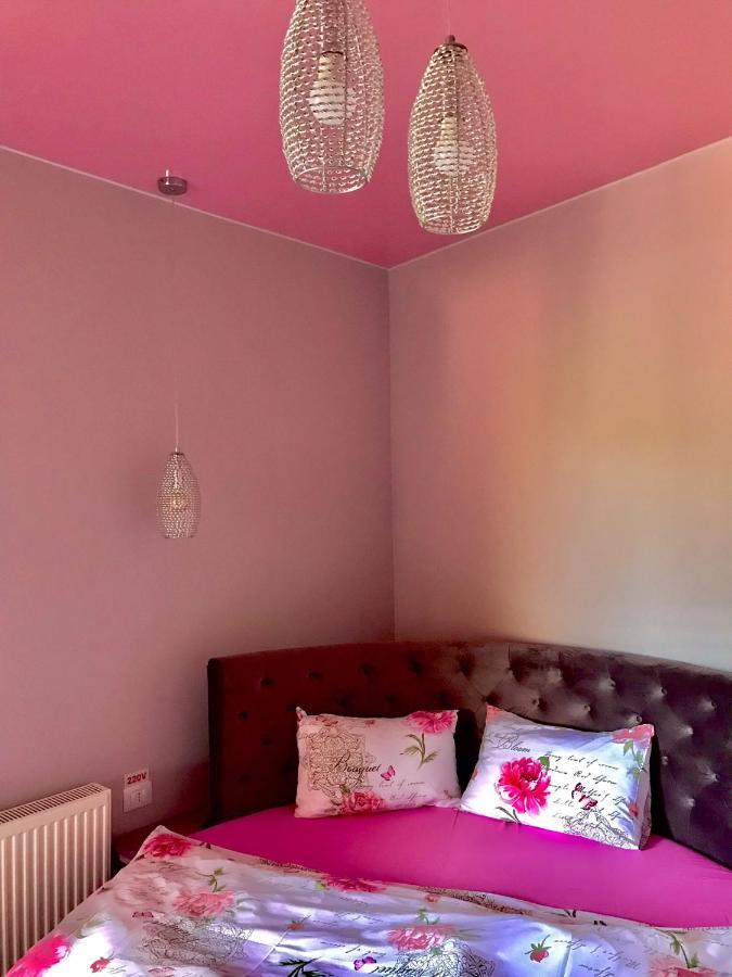 Sweet Pink By Miro Apartment Sinaia Exterior foto